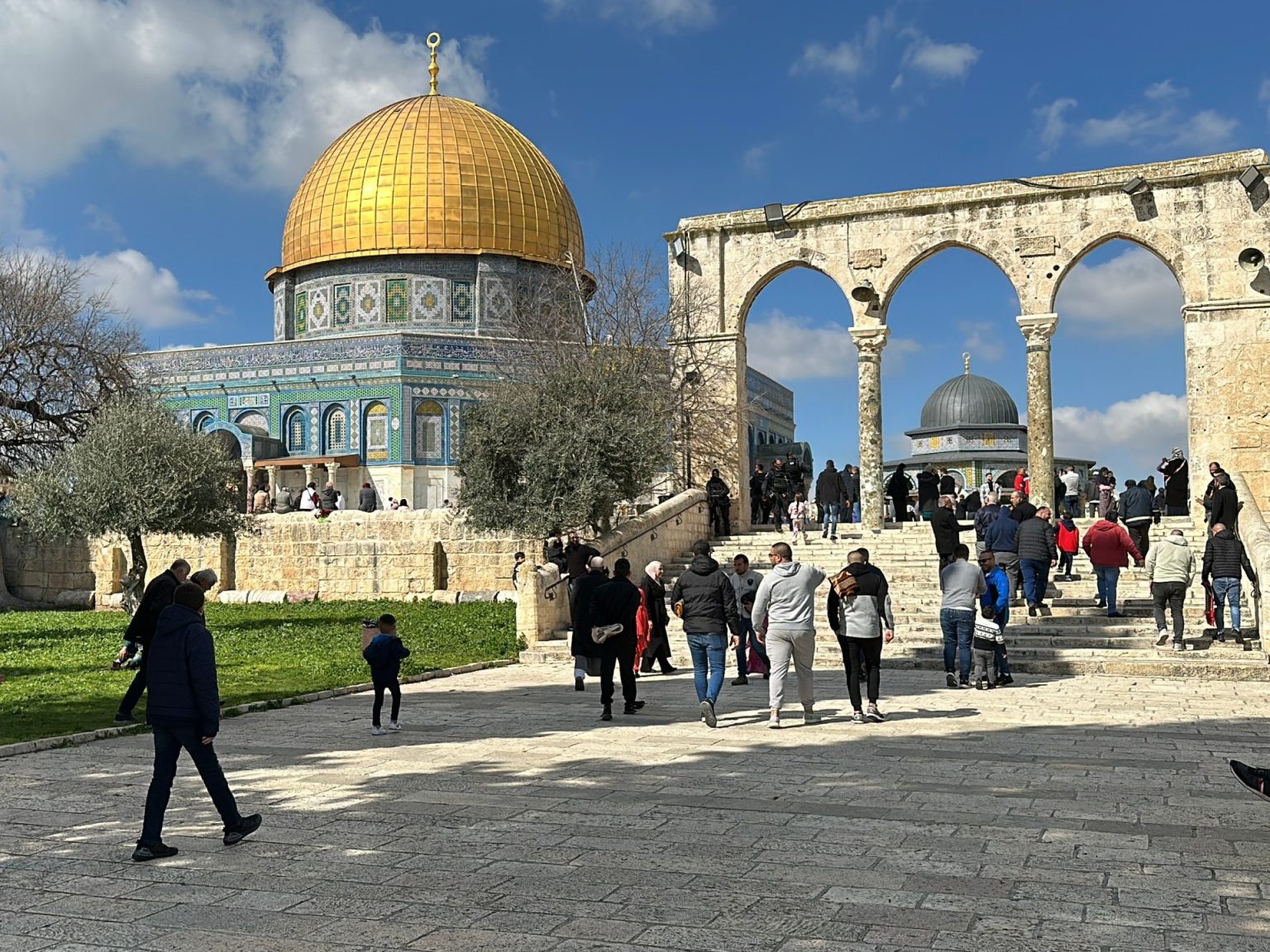 يسشب8 1707494956