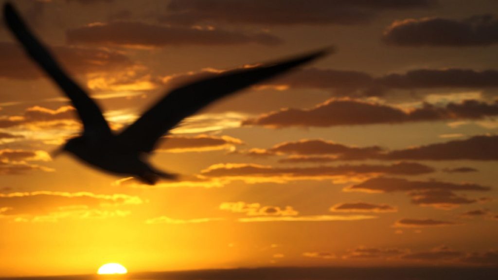 1200x675 cmsv2 105d0d18 399a 56d0 a60b 5cf5a38805eb 8279088