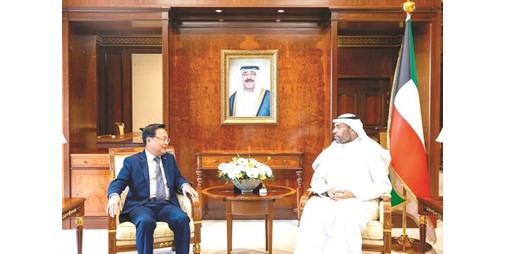 وزير الخارجية بحث مع سفير الصين التعاون الإستراتيجي بين البلدين 1229454 1