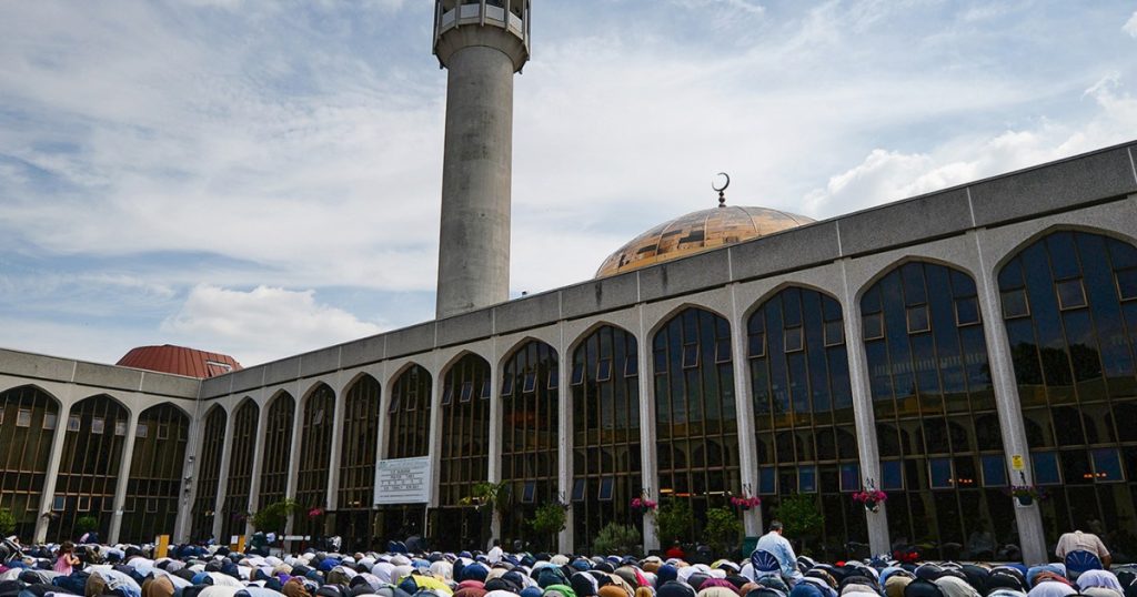 12ccdabd 6db1 47e6 8721 8afcefd84121