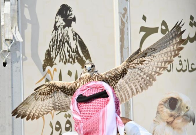 1709403999 741 Capture