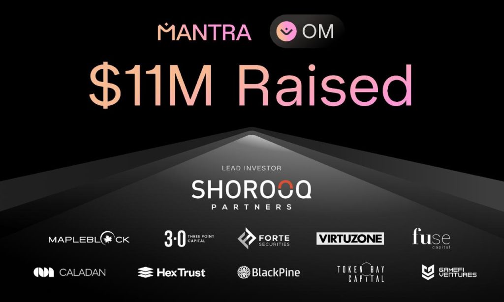 شركة مانترا تحصل على تمويل بقيمة 11 مليون دولار 1710954241 image