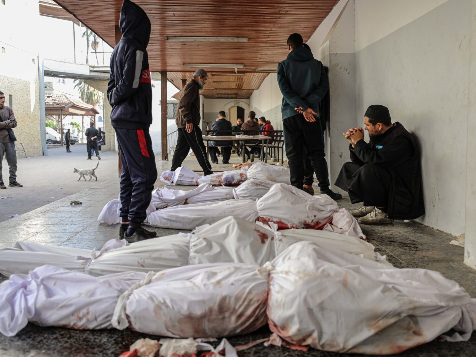 شهداء بنيران الاحتلال ومعارك ضارية في غزة وخان يونس 34141721 1711875364