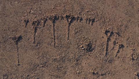 8b3550cb bc88 4c50 b1b3 c44343345071.jfif