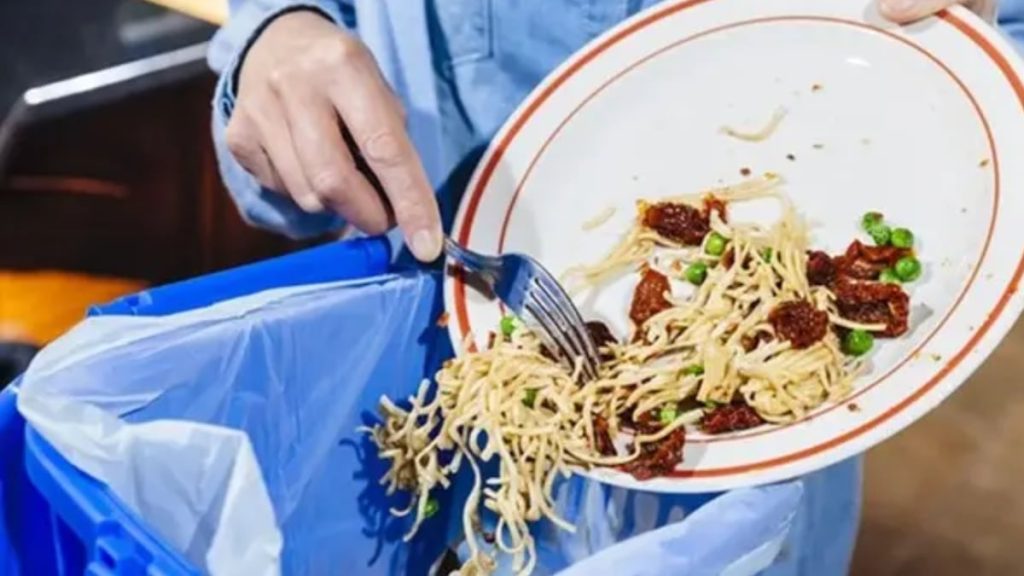 ajel2F2022 102Fadb05aff ec70 4ff9 b8a2 abf6b03ab1c22F000000000000 16 6 7 4 11 10 15 35 6