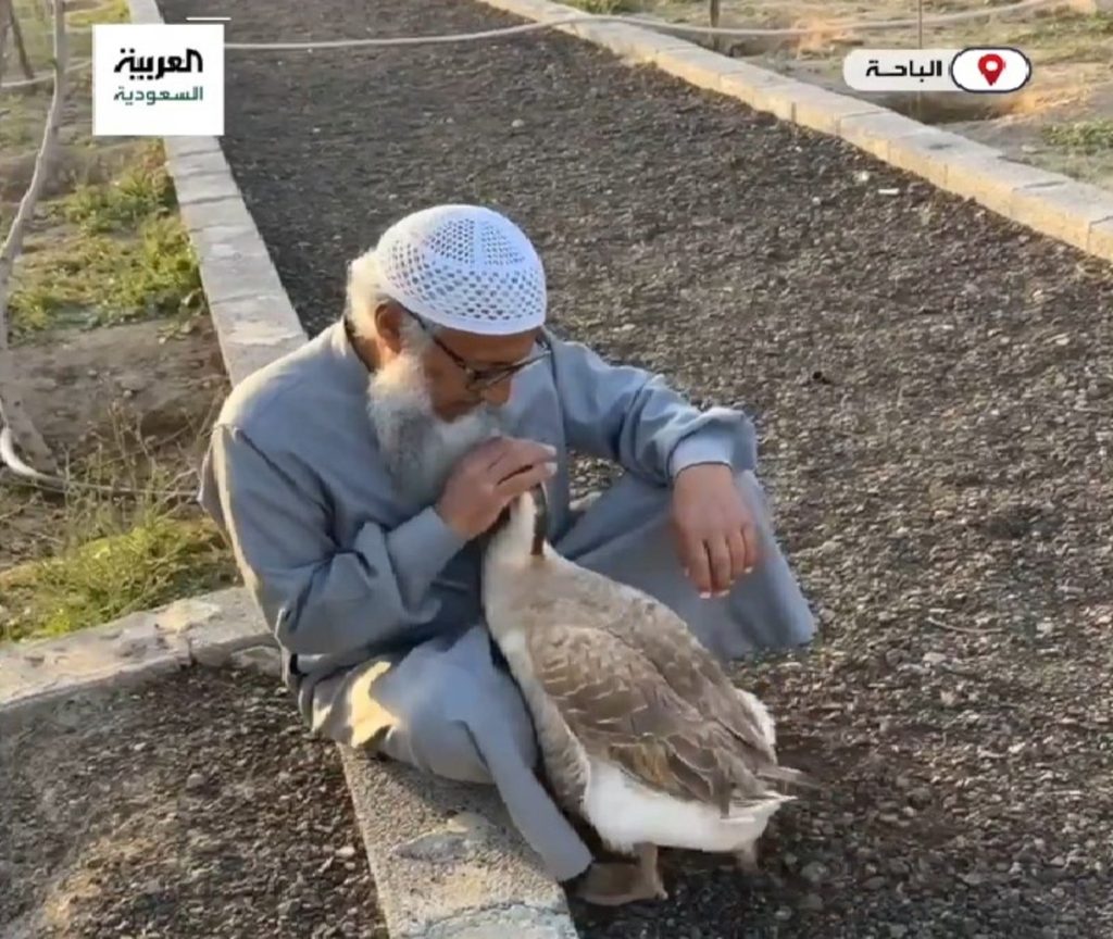 ajel2F2024 032F02fc70a7 ee47 481e 97bb f77a35f95b1e2Fb0d3d26e f505 4a8b 8d53 3b9a2af67317