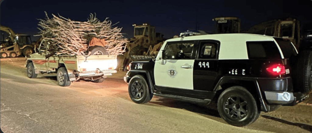 ajel2F2024 032F0614935b 5f5a 4d5c 97e6 9b35151853422F4c4d2c2c 2aac 4dc3 beef 77aeb5275eb7