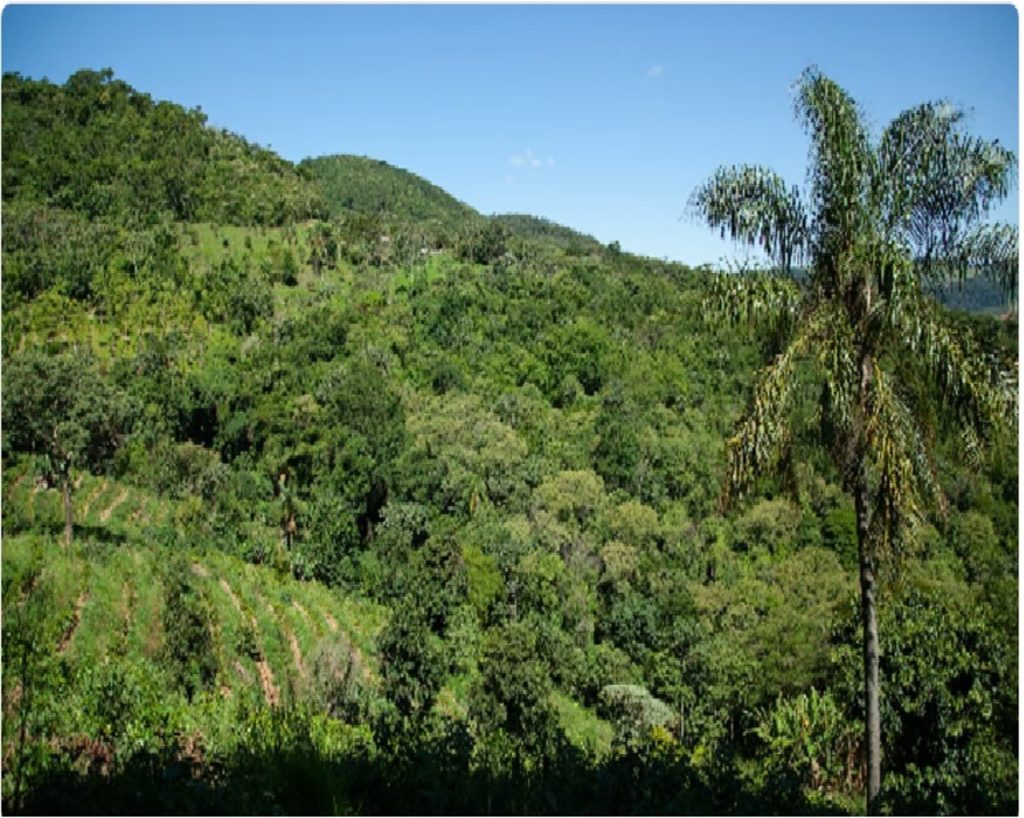 ajel2F2024 032F1cb6f731 de3d 4a68 9cab 801d538047272F16