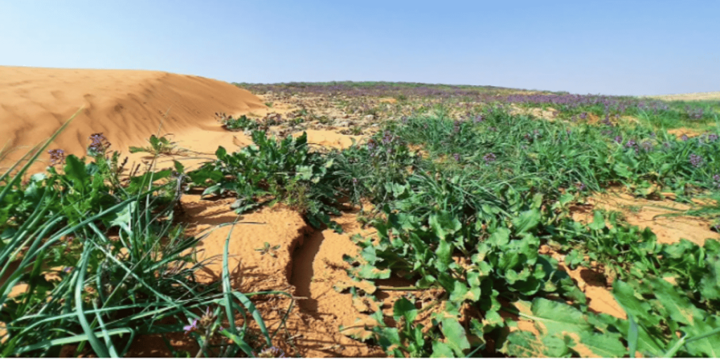 ajel2F2024 032F387ce749 be95 4946 84ef d1a5fb41c4e82FCapture