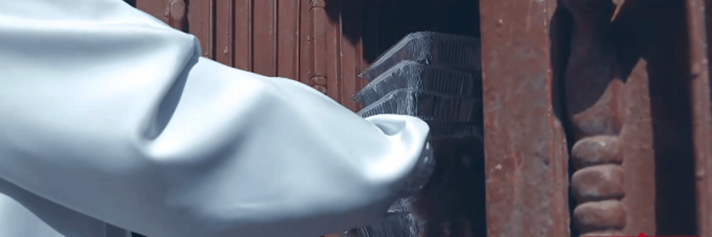 ajel2F2024 032F396c1e3a 20d7 45c8 8e7e f3b3dc61a1dd2Fe7e8daf0 ef0c 4890 b0c0 8cf83ad0e3b9