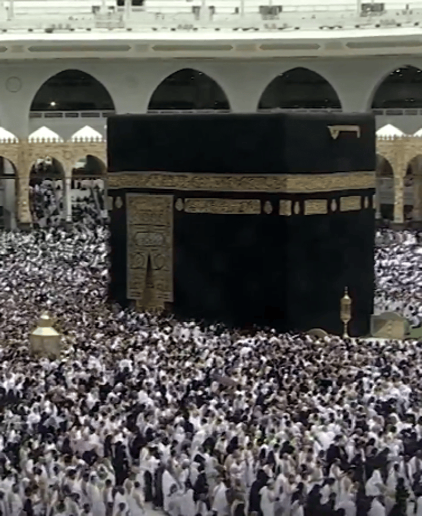 ajel2F2024 032F3be0b82c 6b71 4cad 962b 6bf3cd2bea462F5ee8b5ff 79db 4e7e b5b1 4a41f529543c