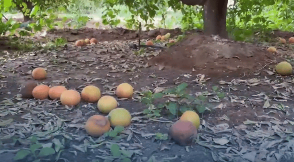 ajel2F2024 032F4e1cc017 d0eb 4be6 b3ed 079c9d0e24682F7777777777777777777777777777777777788888888888888888888888888888888