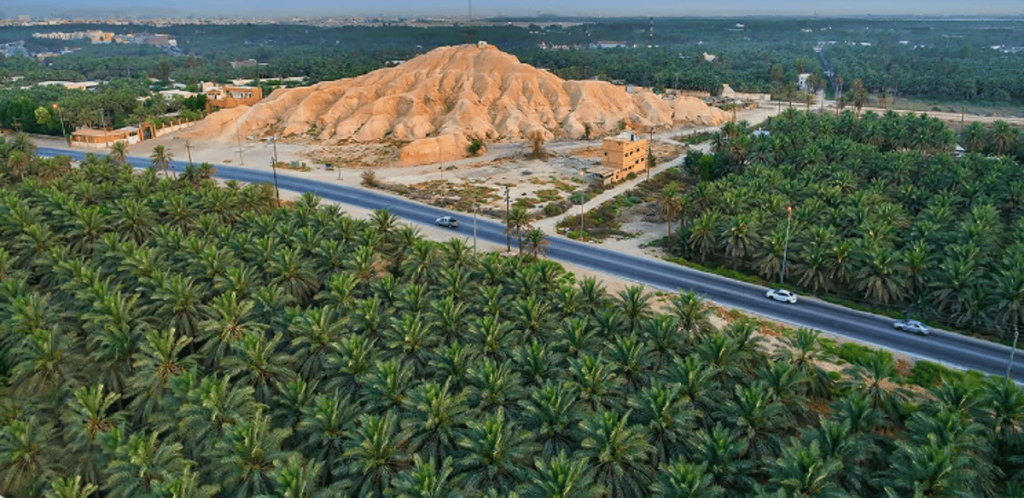 ajel2F2024 032F507031a3 edbb 4fe8 ab4f 1d15f172337c2Fde878bfc 9251 4e93 bb1b 99177f67c5d4