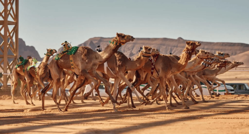 ajel2F2024 032F52ffc9e9 0cab 4090 95f0 871839f924fc2FCapture