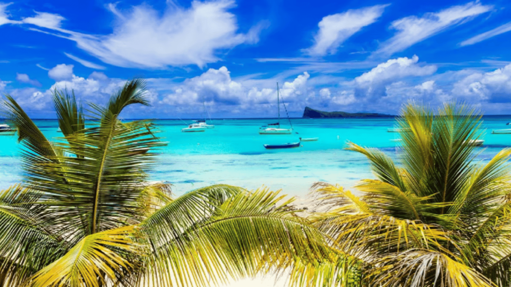 ajel2F2024 032F58c98d6a ef84 4ae3 ab9a 80ddaa6d54b12F3333