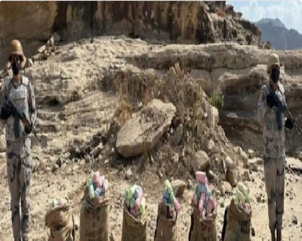 ajel2F2024 032F78d4516a e7fc 44a4 81e3 334dac767d422F 333