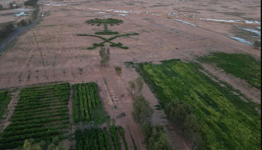 ajel2F2024 032F87edd5ae 801b 4824 8947 59869988c6322FCapture