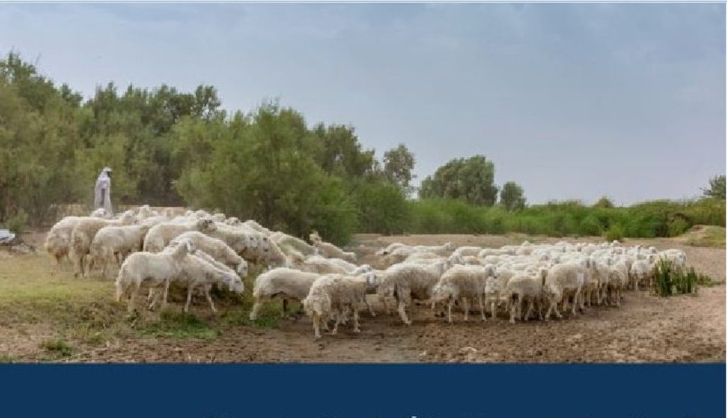 ajel2F2024 032Fa7208adf 285e 4982 98d2 9d1febfdb8fd2FCapture