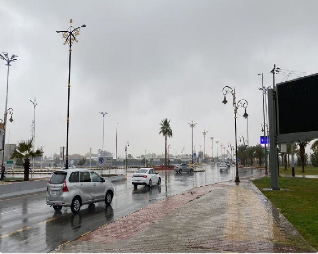 ajel2F2024 032Fab2e3351 33eb 4e7d 8fc0 11879d368d212F5a3c0626 43ec 4be5 97fa 415a15e4a949