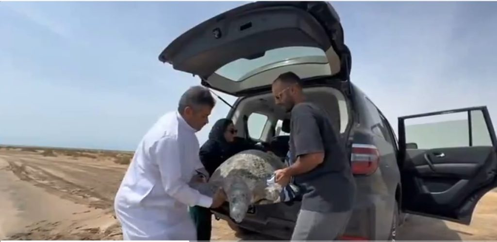 ajel2F2024 032Fc6514175 594d 4699 ba69 889cf2d156f92FScreenshot 2024 03 17 203256