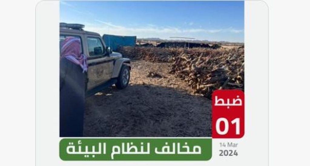 ajel2F2024 032Fc783b342 34a4 4e14 b121 0bcc21f25ddb2FCapture