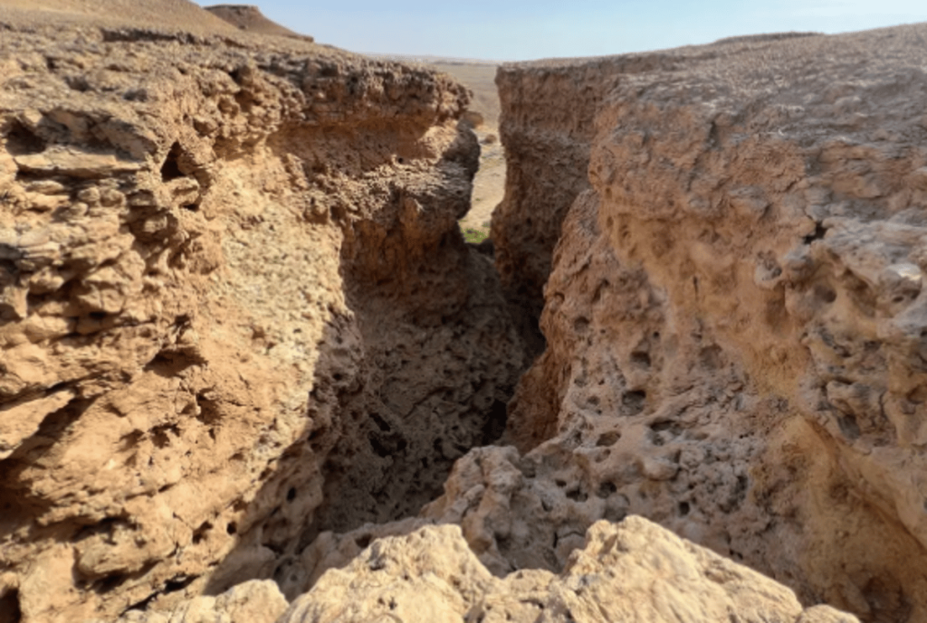 ajel2F2024 032Fdb063c2f 0b89 41d8 8a6c 3ce0de62d3562FCapture