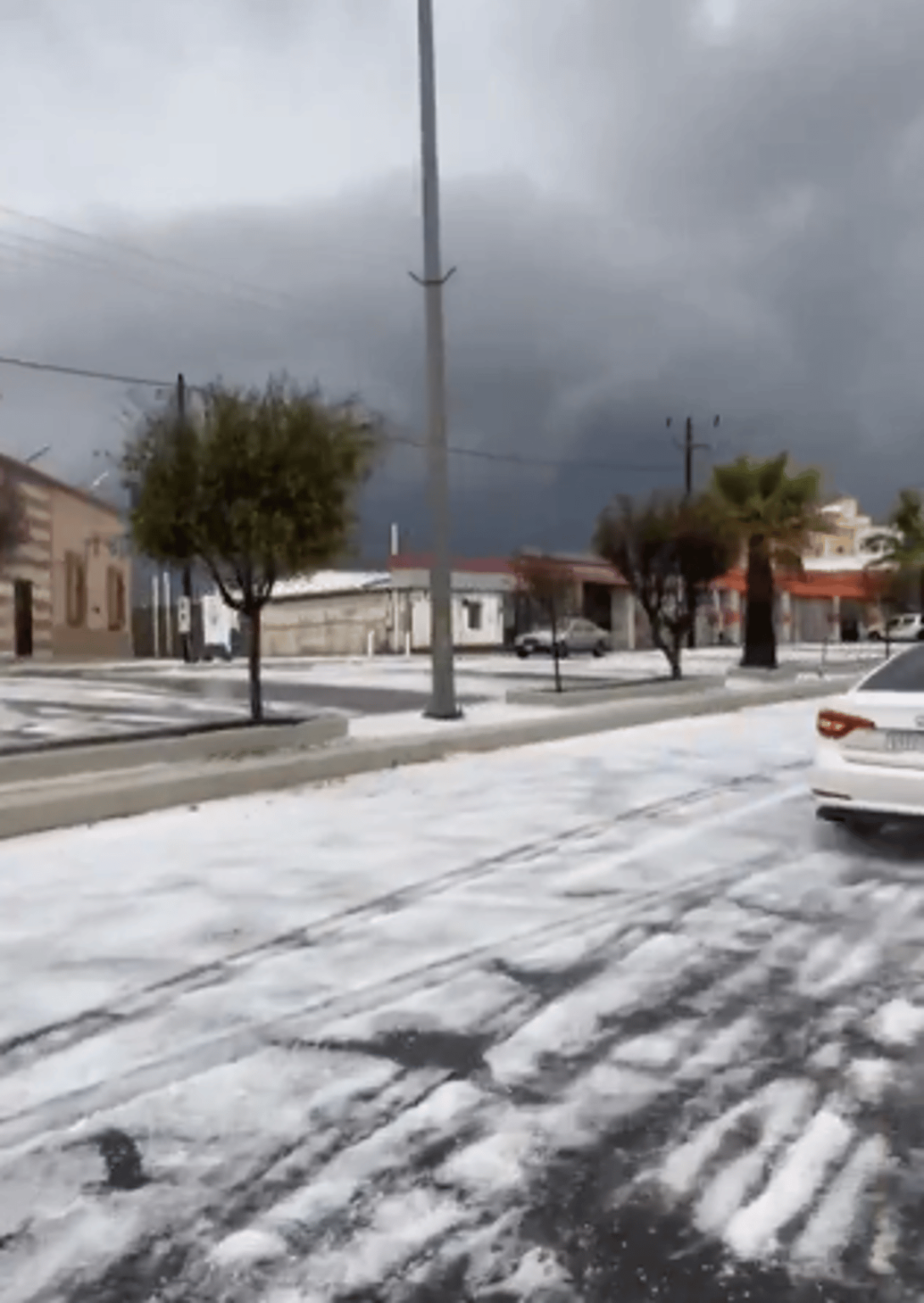 ajel2F2024 032Fec212301 83fe 41d2 a14a 952398a73a632F397f8293 8a01 46ae aa83 cfaa53c238df