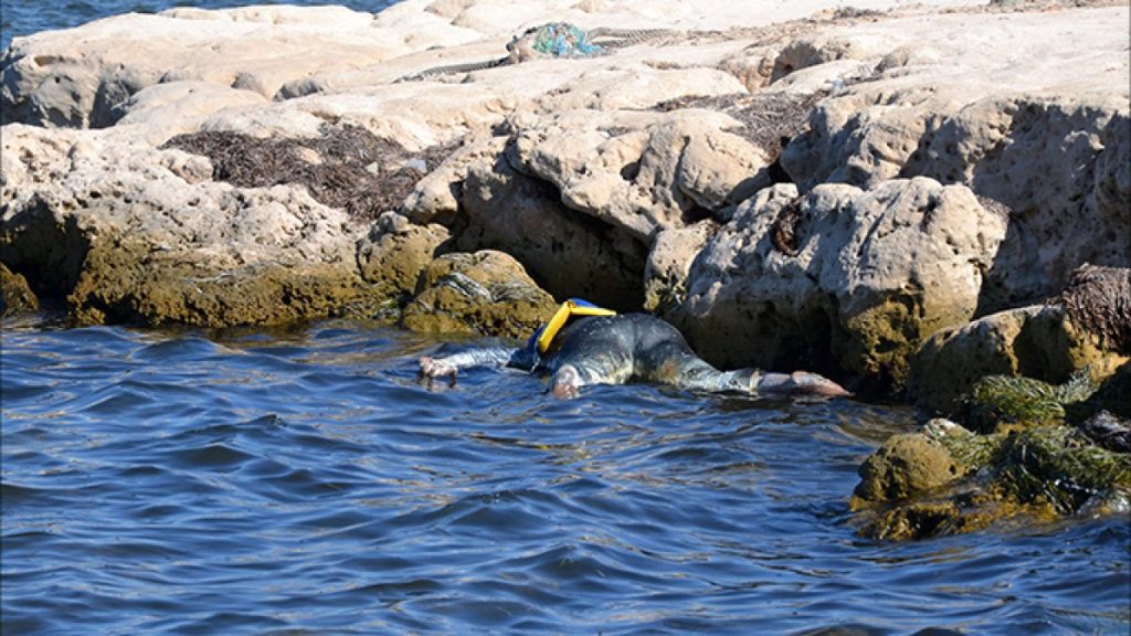 e64819ec f294 407e a972 6032da5956e1