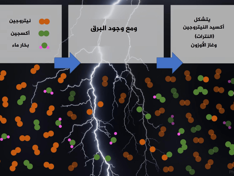 البرق والنيتروجين 1710755602