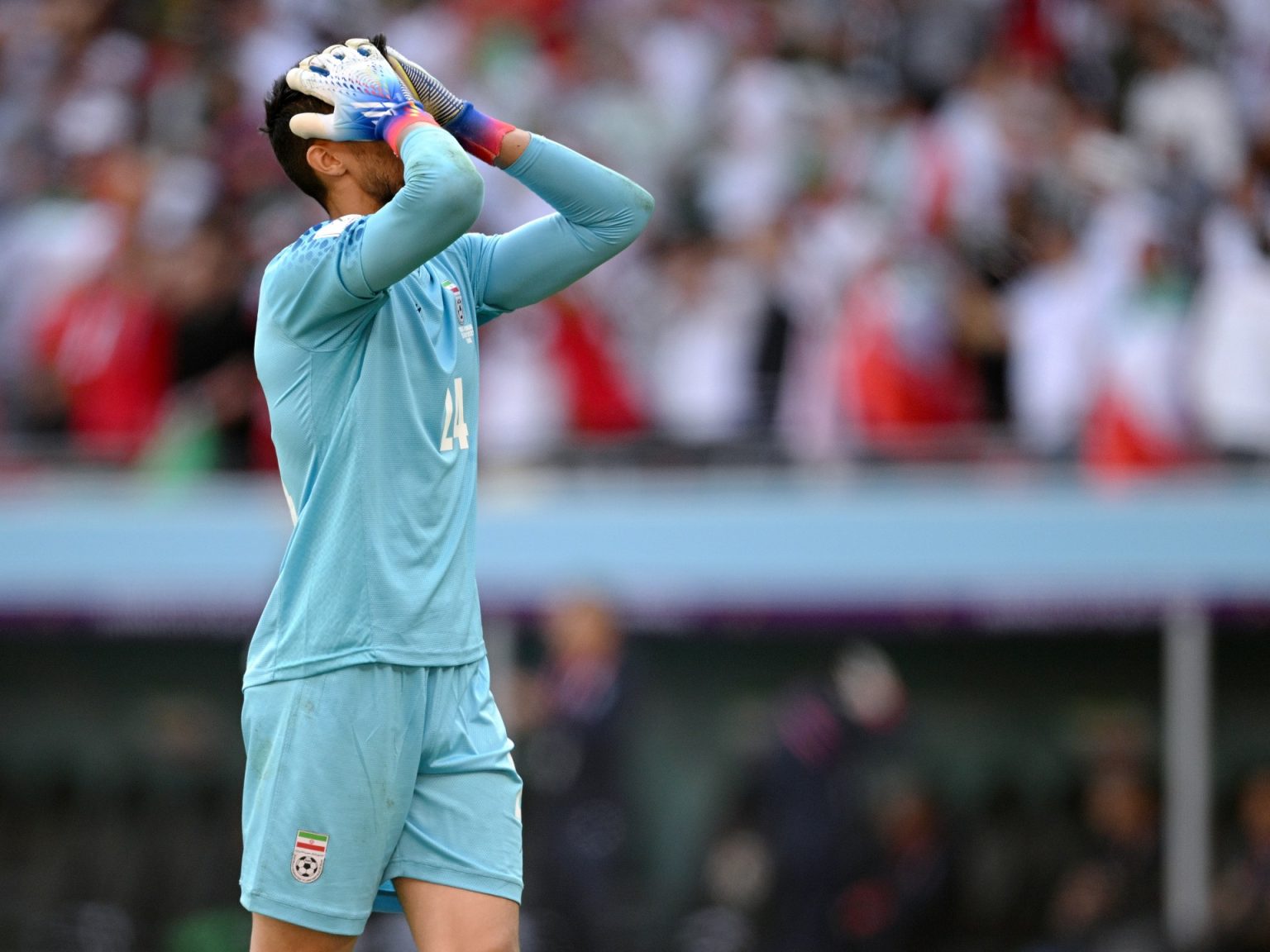 1444431112 1713869903