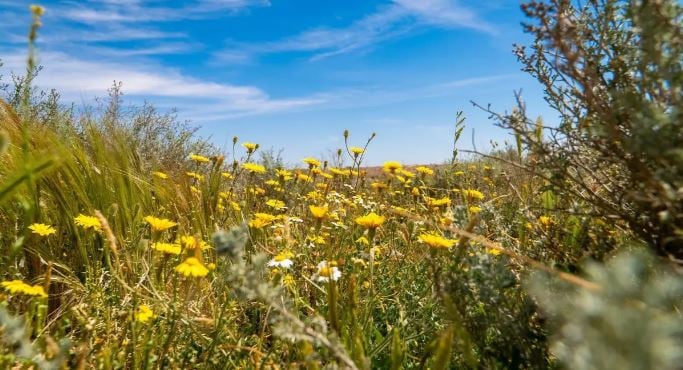 1712616231 660 Capture