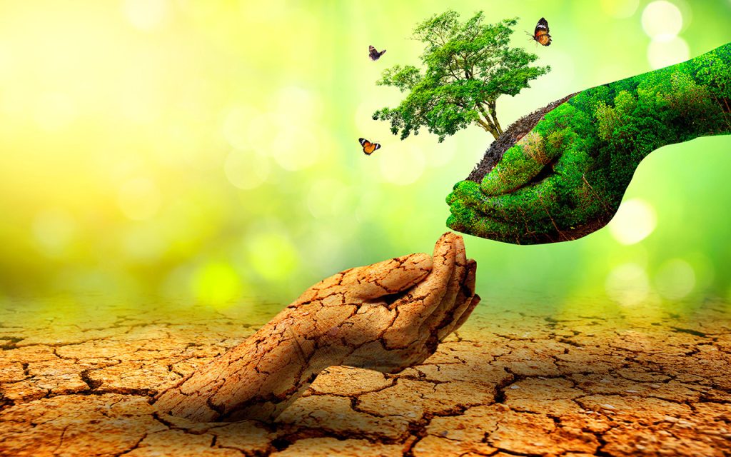 أستراليا تدرس تعديل نظامها الضريبي لتحفيز الإنتاج الأخضر 1713144648 image