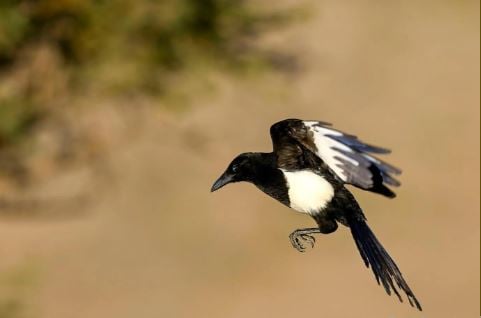 1713478649 731 Capture