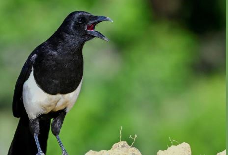 1713478650 694 Capture