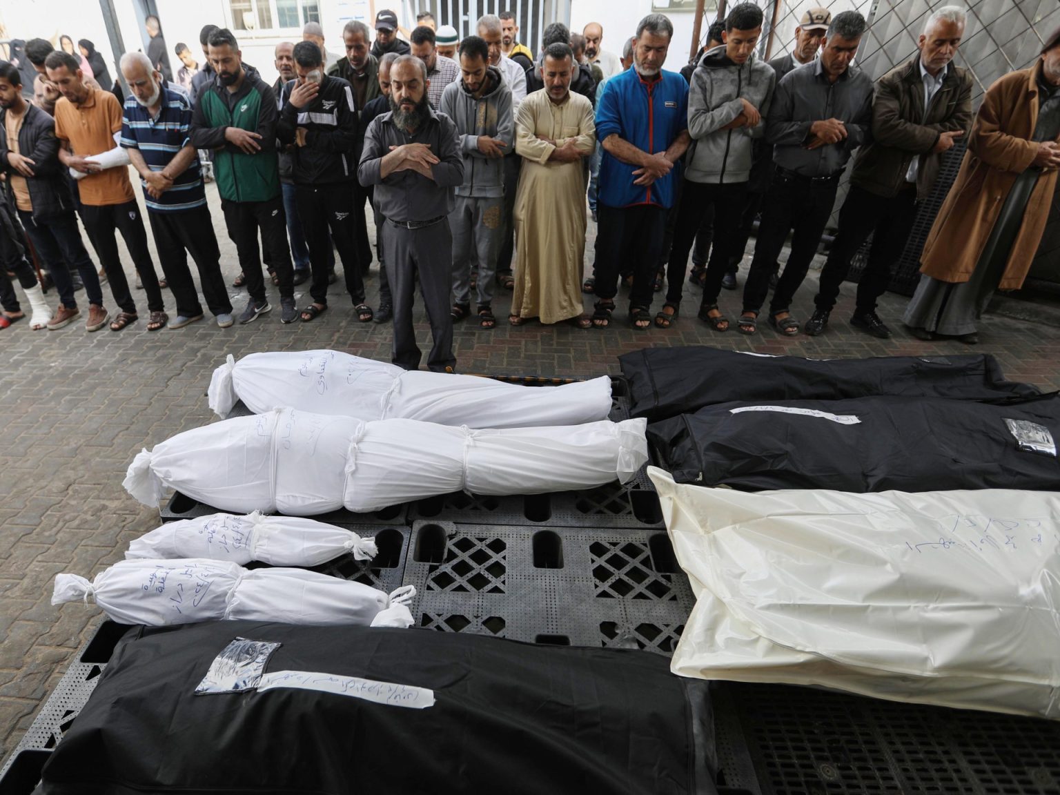 2137358213 1712575103