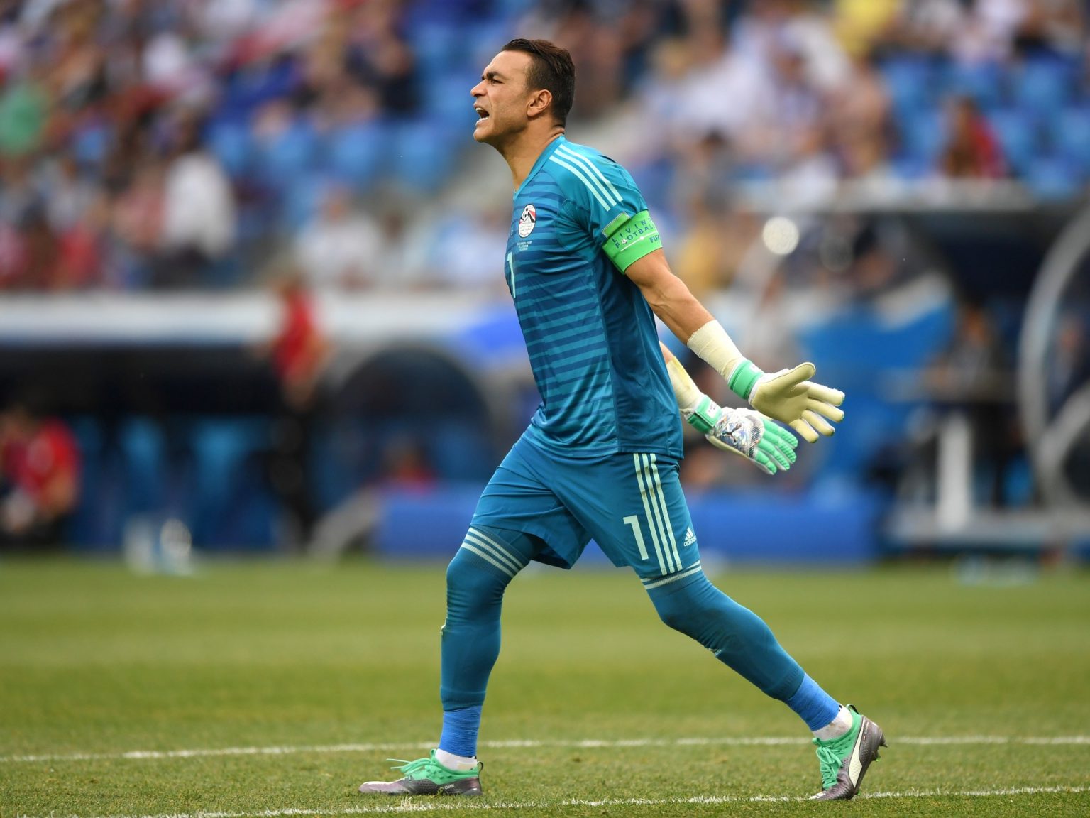 983629248 1713341831