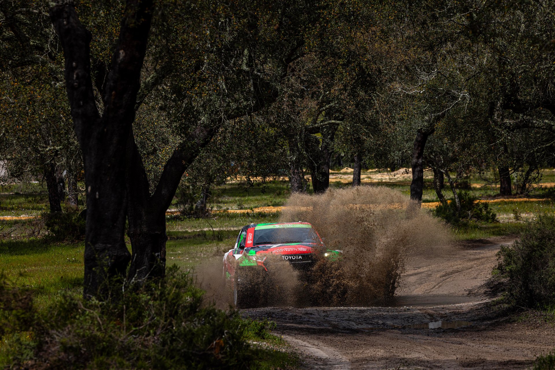 CA 010424 YR RRP Test 29