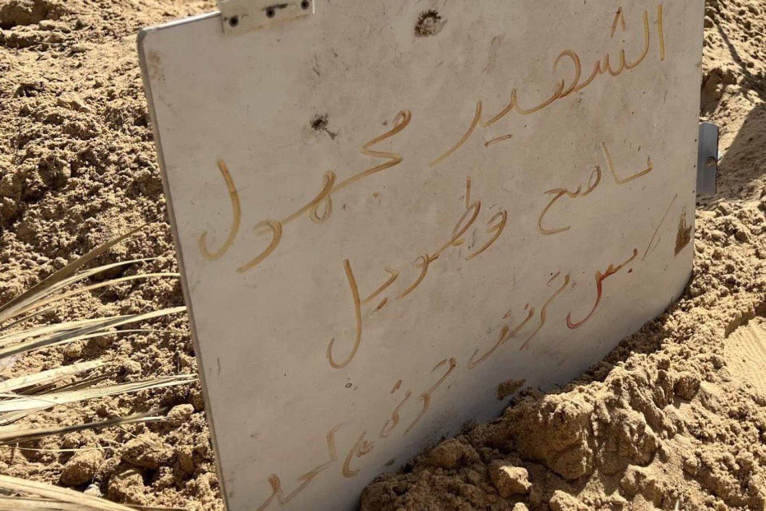 GLw xvCW8AIu6UX 1713857667