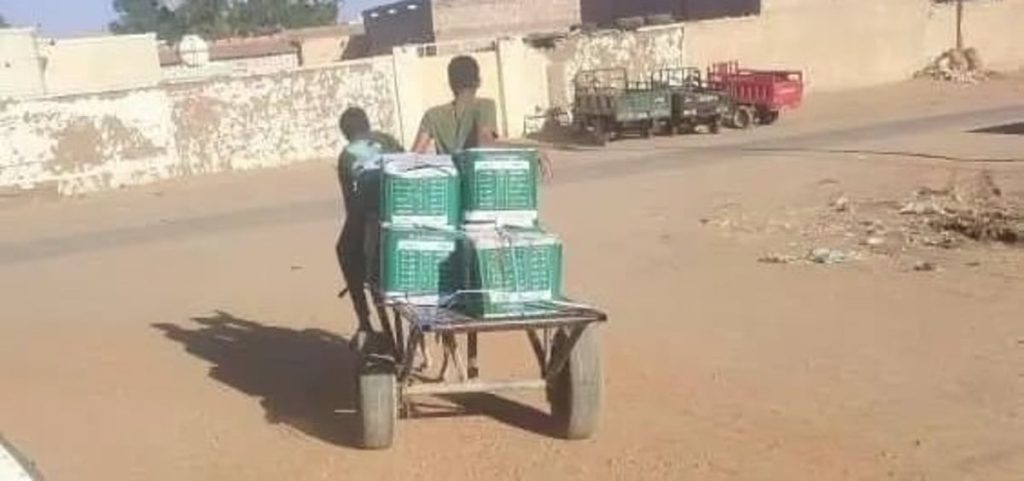 ajel2F2024 032F7a46e883 4191 4677 a5fd 48ba4376f2682F3DS0hXAefj5Ldp4MEQErKIfzRPC8Um8pDZ177IDe.webp