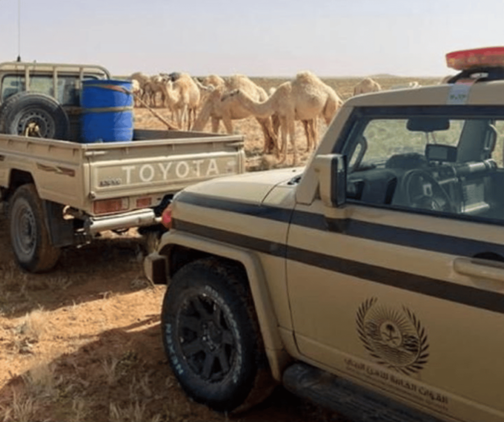 ajel2F2024 042F224d8d8d d905 4248 b05d 46ce52626ab32F5dc5aea0 141a 442c a950 9b9507455e58