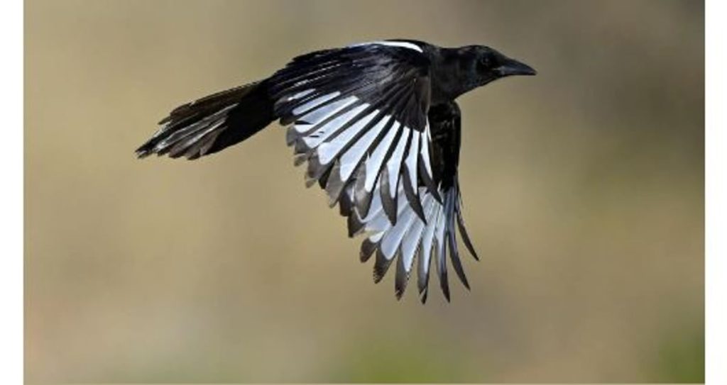 ajel2F2024 042F232e698c c8ad 4113 88ec 48cf6f7ec7bd2FCapture