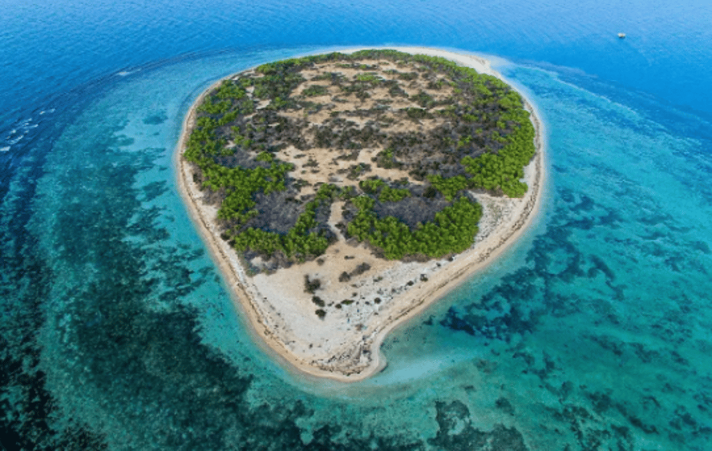 اليوم.. انطلاق فعاليات منتدى المحميات الطبيعية "حِمى" بمشاركة محلية ودولية ajel2F2024 042F240577cc 959d 42c1 abf8 8f0715313e232FCapture