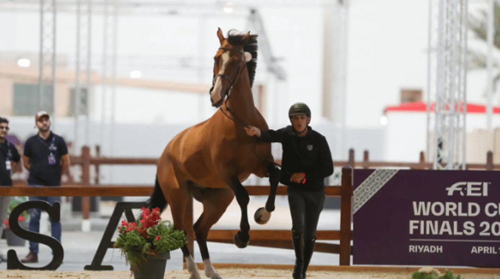 ajel2F2024 042F27ba2617 a980 492d a1c7 03bbe23646f62FCapture