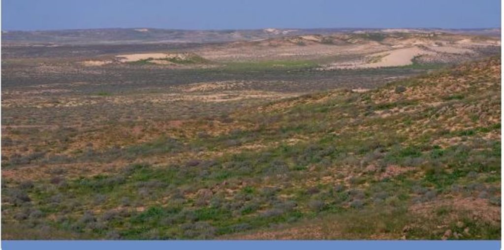 ajel2F2024 042F3c2dd362 f3ce 406c 8896 491a2ab1bac72FCapture