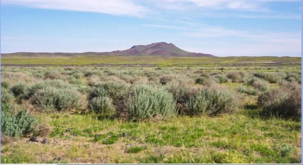 ajel2F2024 042F4069c52c 0a62 438e 9ee1 31f7f06edfc42FCapture