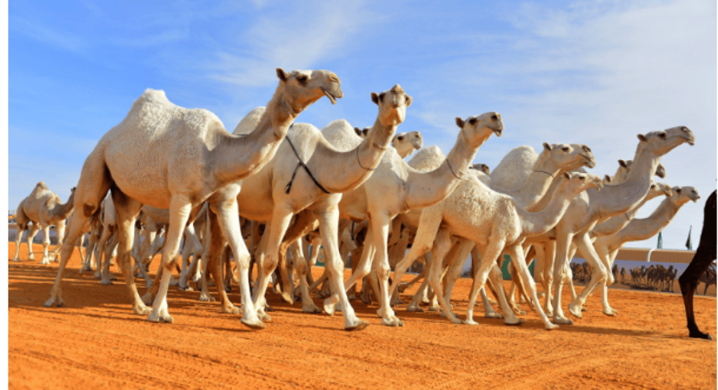 ajel2F2024 042F62f35bf6 115d 43e1 8837 b65366b2d1022FCapture