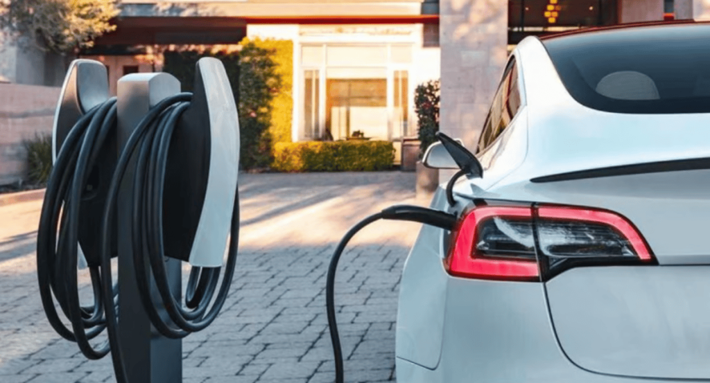 ajel2F2024 042F7a2dd011 aa7d 48bd bfd4 6bd2dd5be1452F1111 11 1 1 1 1 1 1 1 11