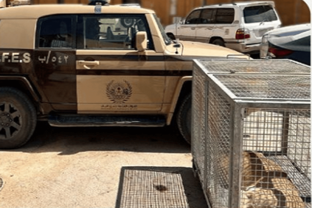 ajel2F2024 042F7ca3fe9a 7a74 4082 8469 30d51eccde0b2FScreenshot 2024 04 20 192317