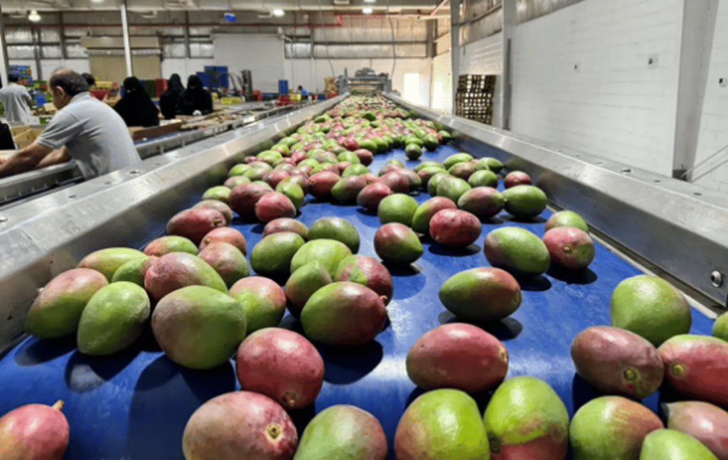 ajel2F2024 042F84328b45 051a 47cf b8a8 4f7ee155638e2FCapture