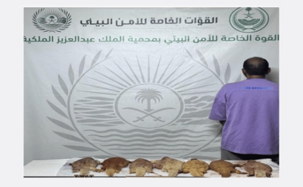 ajel2F2024 042F846f83df b441 48d7 9bbd 3864003669fe2FScreenshot 2024 04 15 182638